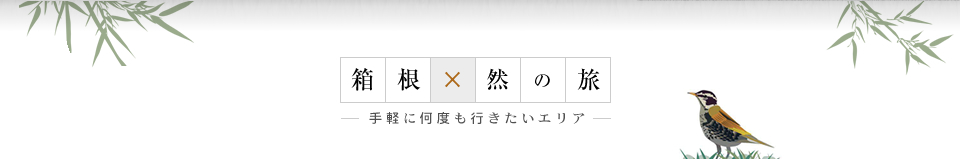 箱根×然の旅